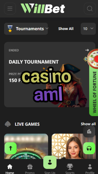 Casino AML - Safe & Compliant Gambling Site-www.bdqngd.com