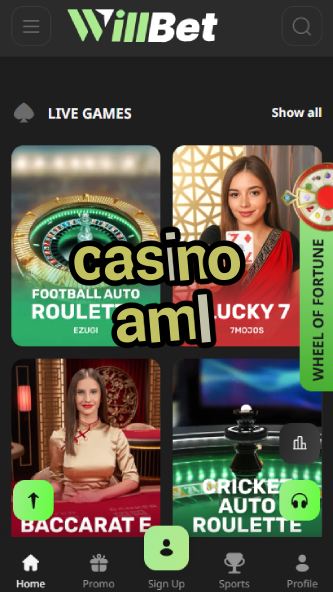 Casino AML - Safe & Compliant Gambling Site-www.bdqngd.com